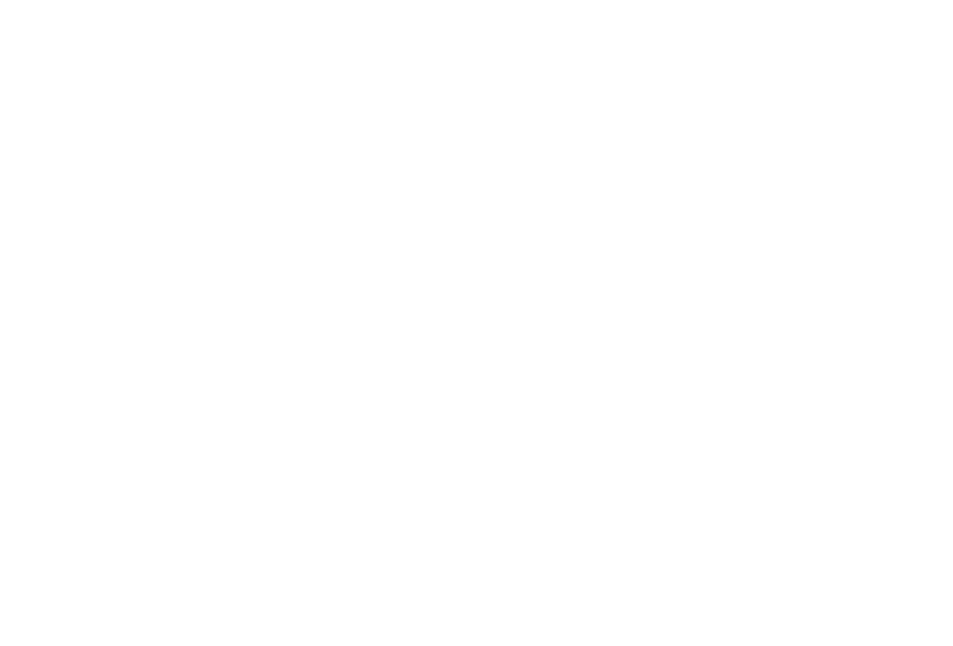 gifgo 1